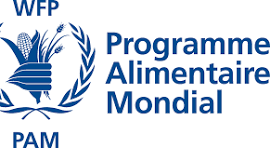 Programme des Nations Unies pour le développement RDC